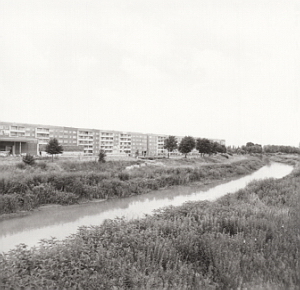 Senftenberg